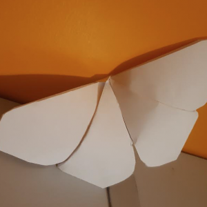 Océane-F-603 - Voici ma réalisation que j'ai fait en papier origami. J'ai fait un papillon car c'est la nature et la liberté de s'envoler mais cela représente aussi la joie et le bonheur.