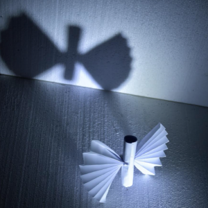 Pierre-A-304 - J'ai réalisé un papillon en papier, avec un éclairage artificiel de type lampe de poche, et un décor fait de plaques de polystyrène. J'ai emprunté un boitier reflex à mon père.
