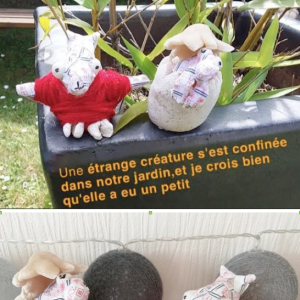 Créature-et-son-petit-Evan-604