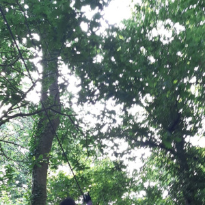 IMG-20220624-WA0058