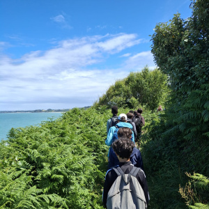 IMG-20260609-WA0040(1)