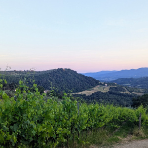 PXL_20250603_184204590 2