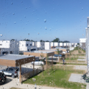 Paillet-Paul-305