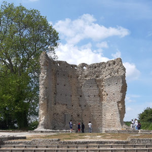 Le temple de Mars Corseul