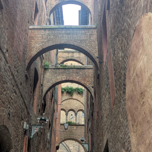 PXL_20250604_135723365.ACTION_PAN