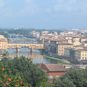 PXL_20250606_071145327