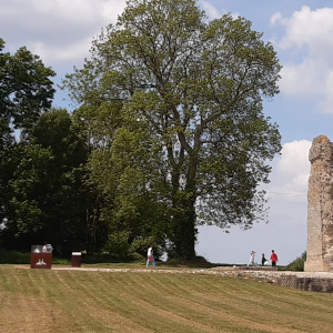 Le temple de Mars Corseul