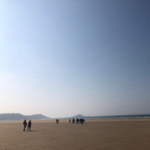 IMG-20240919-WA0067