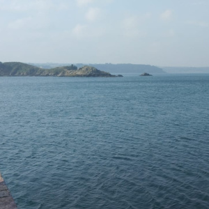 IMG-20240919-WA0050
