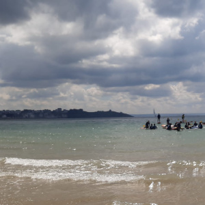 IMG-20220623-WA0088