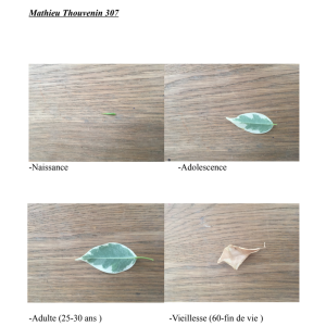Mathieu-Thouvenin-307