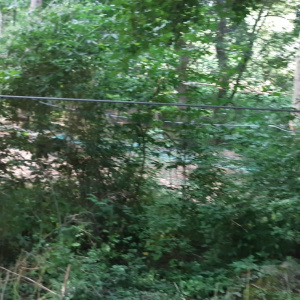 IMG-20220624-WA0047