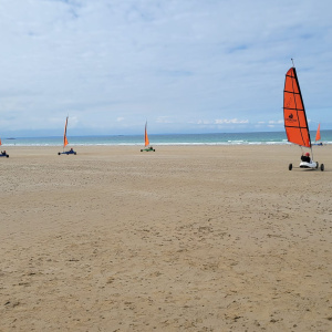 IMG-20240916-WA0009
