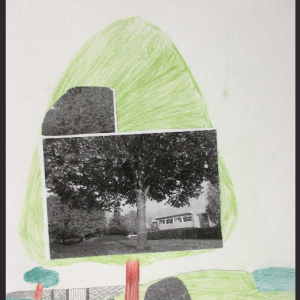 A-partir-de-ma-photographie—502