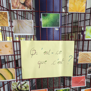 PXL_20231005_123052806.MP
