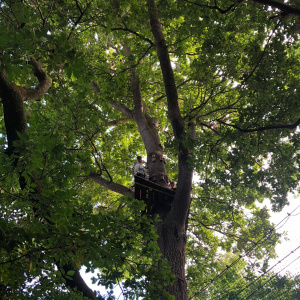 IMG-20220624-WA0076
