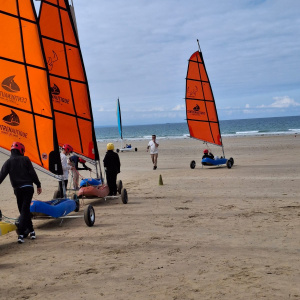 IMG-20240916-WA0005