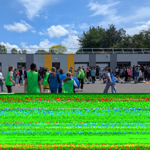 PXL_20250513_113734600