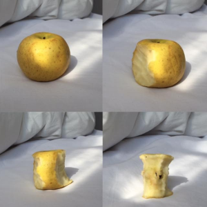 Louna-Charon-306