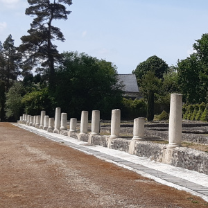 Quartier commercial de Corseul