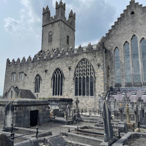 Cathédrale Sainte Mary à Limerick