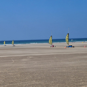 IMG-20240918-WA0010